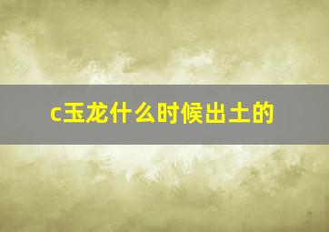 c玉龙什么时候出土的