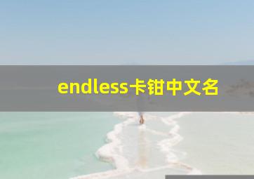 endless卡钳中文名