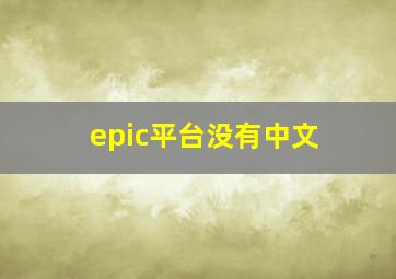 epic平台没有中文