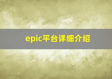 epic平台详细介绍