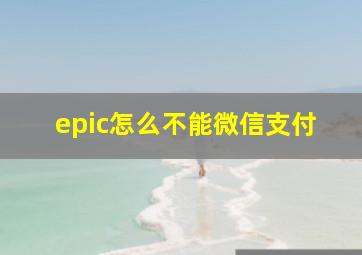 epic怎么不能微信支付