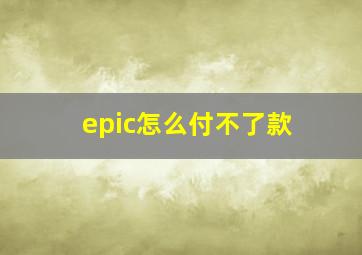 epic怎么付不了款