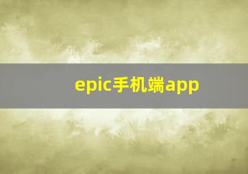 epic手机端app