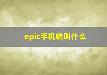 epic手机端叫什么