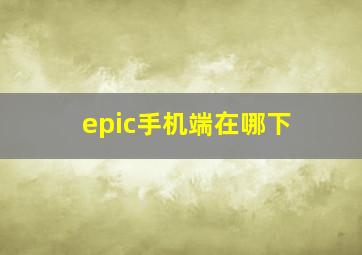 epic手机端在哪下