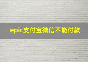 epic支付宝微信不能付款