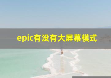 epic有没有大屏幕模式