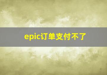 epic订单支付不了