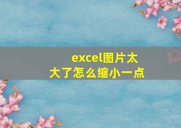 excel图片太大了怎么缩小一点