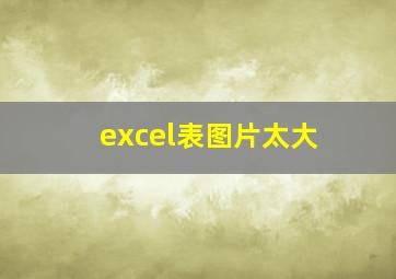 excel表图片太大