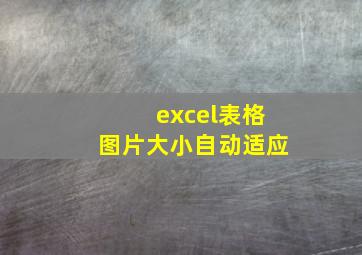 excel表格图片大小自动适应