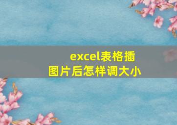 excel表格插图片后怎样调大小