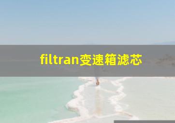 filtran变速箱滤芯