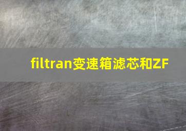 filtran变速箱滤芯和ZF