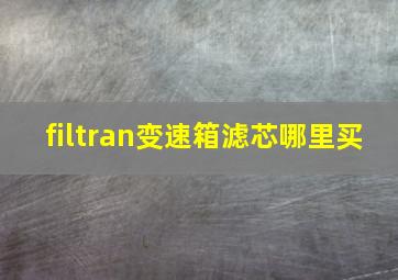 filtran变速箱滤芯哪里买