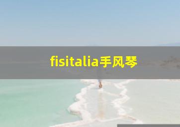 fisitalia手风琴