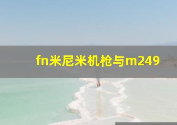 fn米尼米机枪与m249