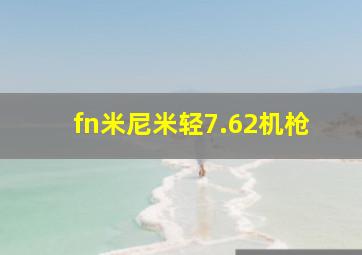 fn米尼米轻7.62机枪