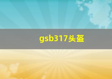 gsb317头盔