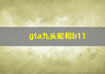 gta九头蛇和b11