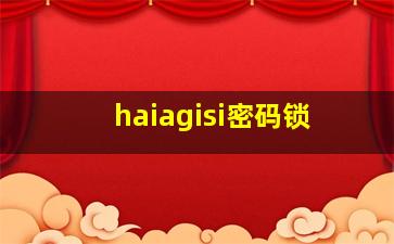 haiagisi密码锁