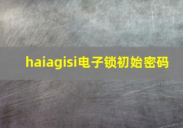 haiagisi电子锁初始密码