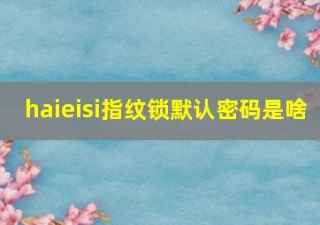 haieisi指纹锁默认密码是啥