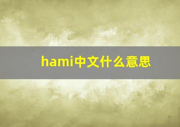 hami中文什么意思