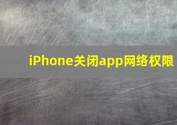 iPhone关闭app网络权限