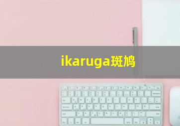 ikaruga斑鸠