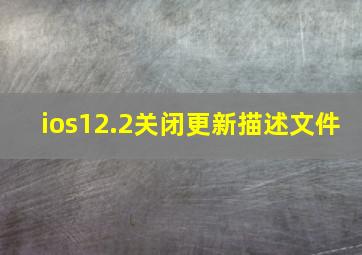 ios12.2关闭更新描述文件