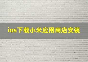 ios下载小米应用商店安装