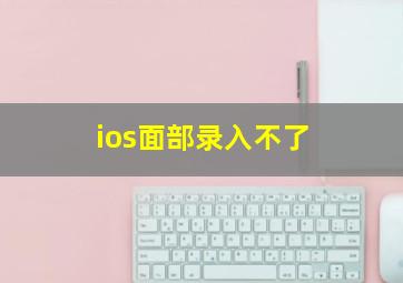 ios面部录入不了