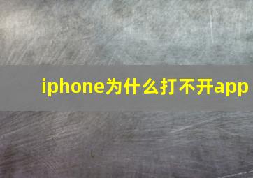 iphone为什么打不开app