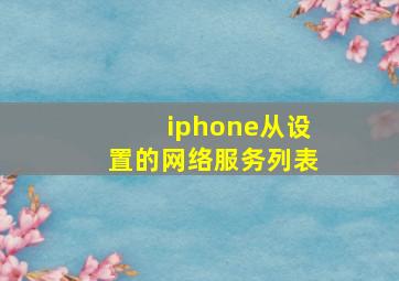 iphone从设置的网络服务列表