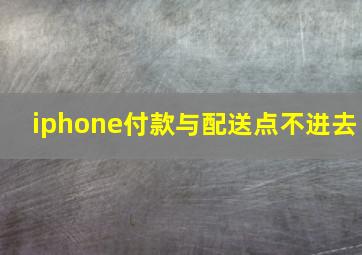 iphone付款与配送点不进去