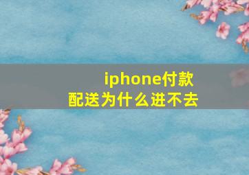 iphone付款配送为什么进不去