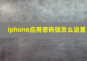 iphone应用密码锁怎么设置