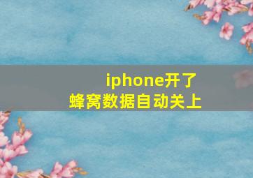 iphone开了蜂窝数据自动关上