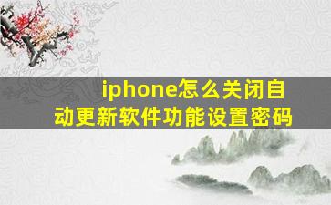 iphone怎么关闭自动更新软件功能设置密码