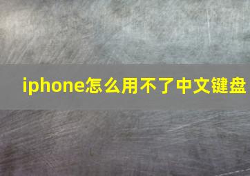 iphone怎么用不了中文键盘