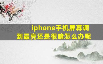 iphone手机屏幕调到最亮还是很暗怎么办呢