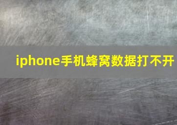 iphone手机蜂窝数据打不开