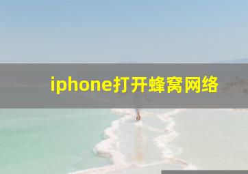 iphone打开蜂窝网络