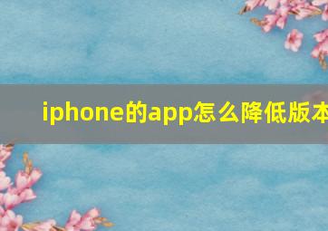 iphone的app怎么降低版本