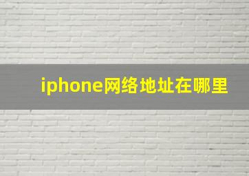 iphone网络地址在哪里