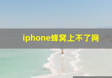 iphone蜂窝上不了网