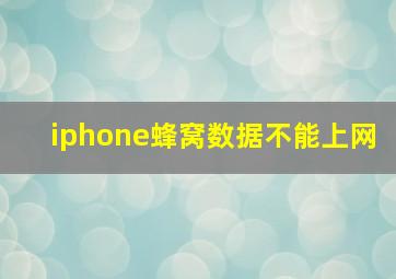 iphone蜂窝数据不能上网