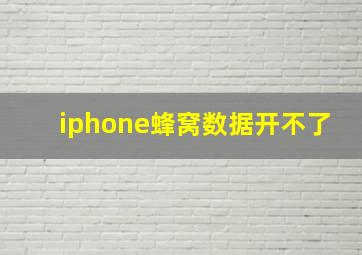 iphone蜂窝数据开不了