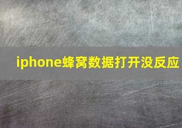 iphone蜂窝数据打开没反应